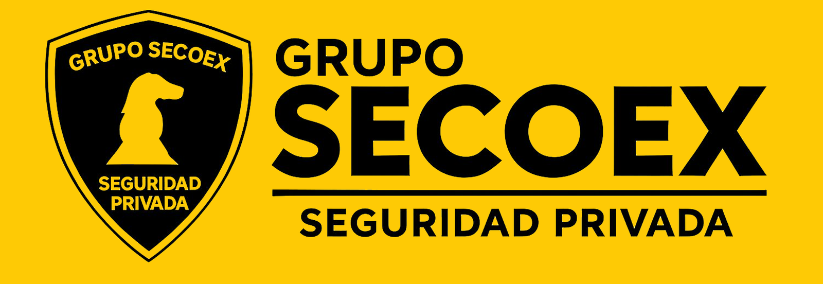 Grupo SECOEX Seguridad Privada